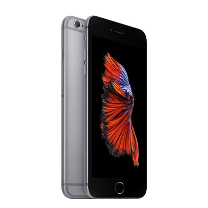 Фото Смартфон Apple iPhone 6 Plus б/у (16 Серый космос, отличное)